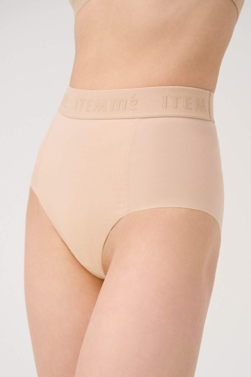 All Mesh Panty