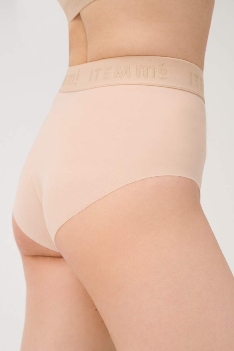 All Mesh Panty